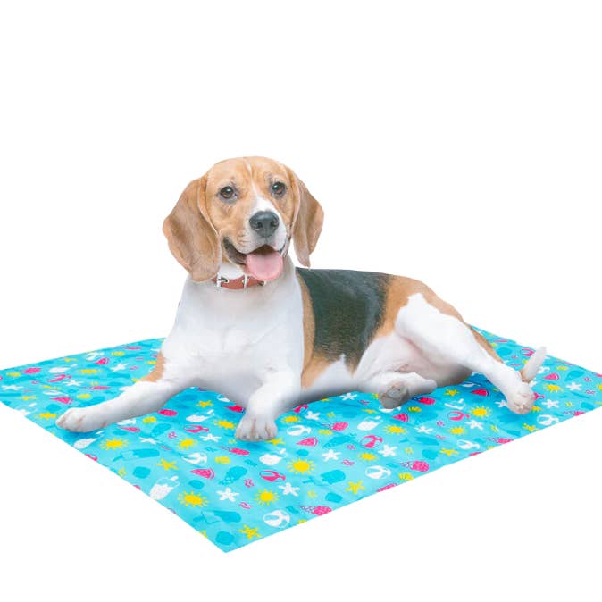 WufWuf & Smart Choice Pet Cooling Mat, Medium-60 cm x 75 cm and other Purchase wholesale air filters 16 x 25 x 1. Free returns & net 60 terms on Faire trending on Faire.