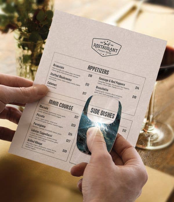 DM Merchandising - Wholesale Vergrootglas - Optimum Optical The Hobbyist OptiCard LED Zakloep 2X Vergroting2