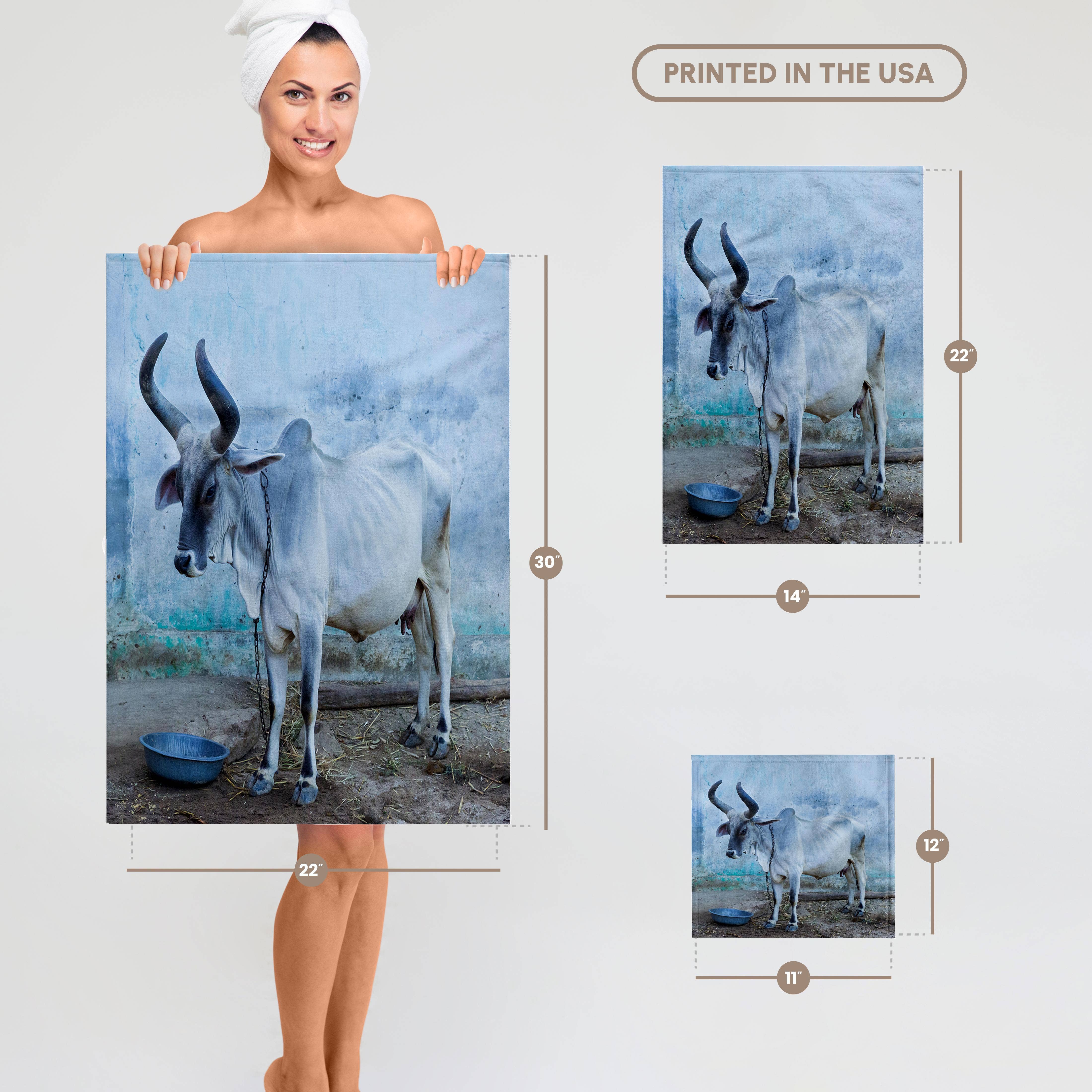 3dRose - Wholesale Bath towel - 3dRose, India. Kankrej Cattle., Towel6