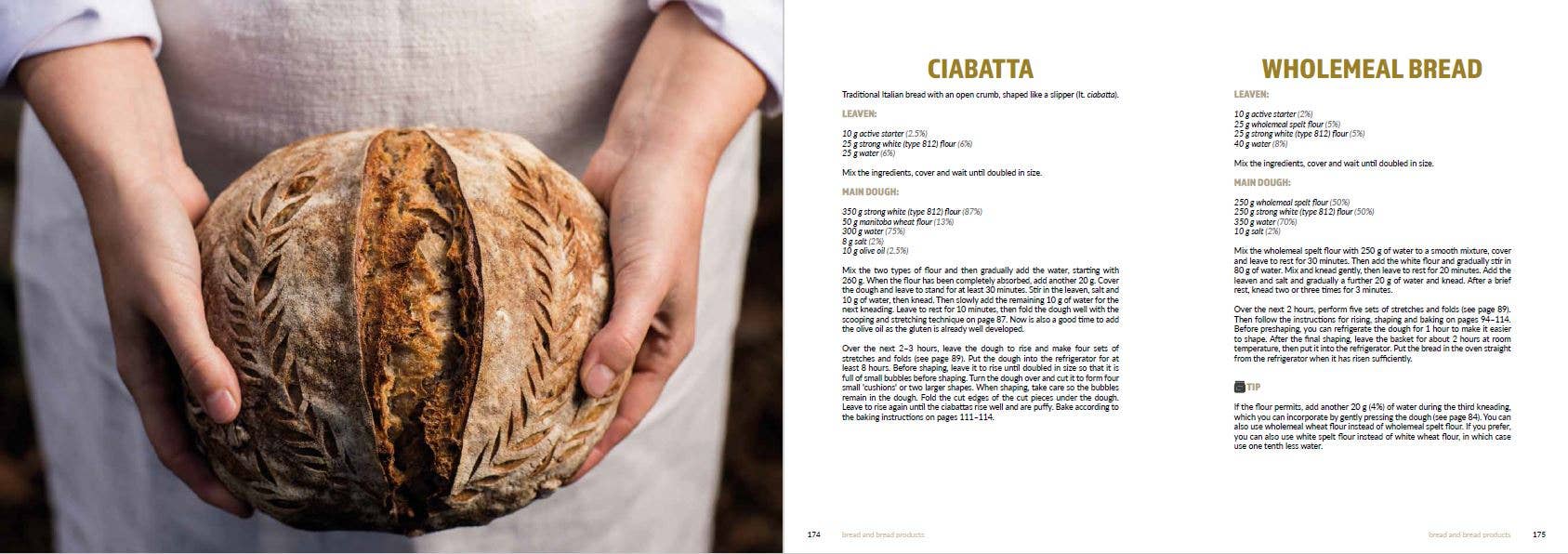 Casemate IPM - Wholesale Baking & Dessert - Sourdough Mania4