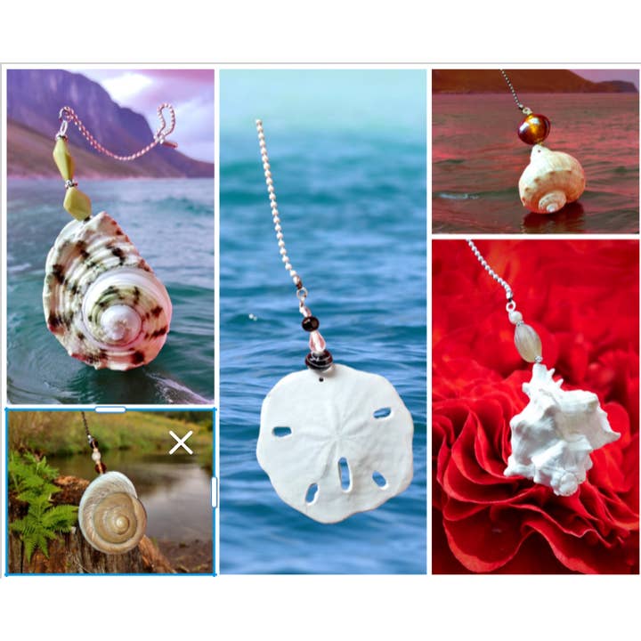 Shell We Sea Designs – wholesale Decorative tabletop object – Large Seashell Fan Light Pull Ceiling Chain Sand Dollar gift