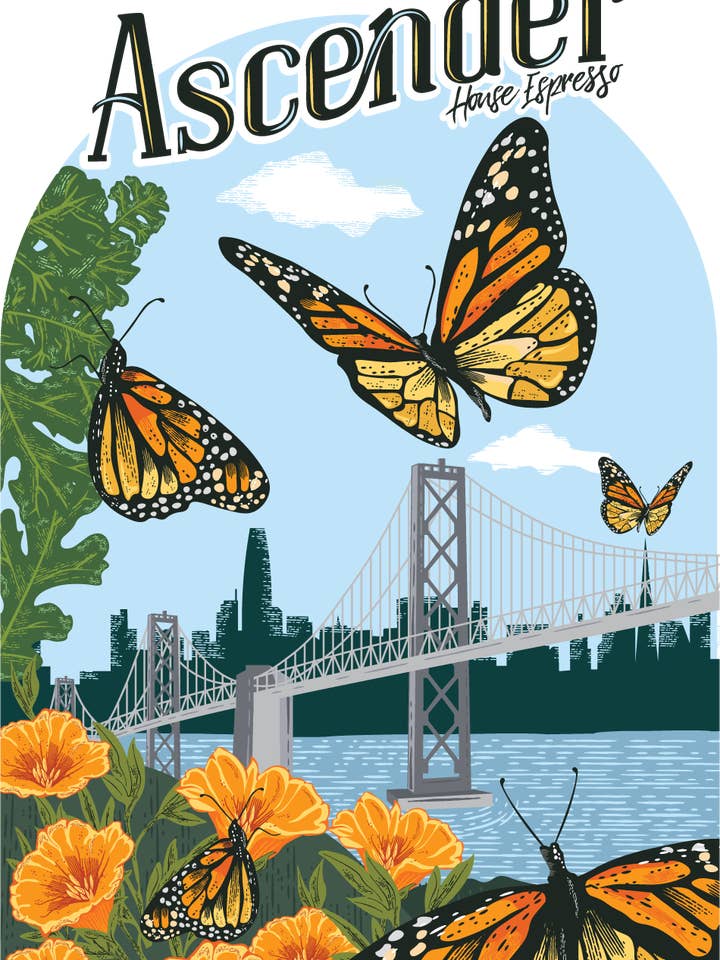 Ascender Coffee Blend 5 lb Bags for wholesale by Zocalo Coffee