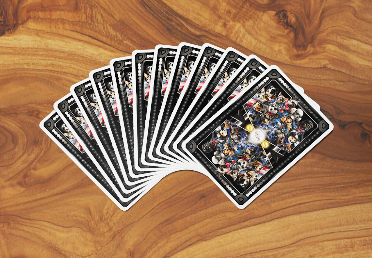 Collectible Playing Cards - Wholesale Playing Cards - Biker Cats Playing Cards1