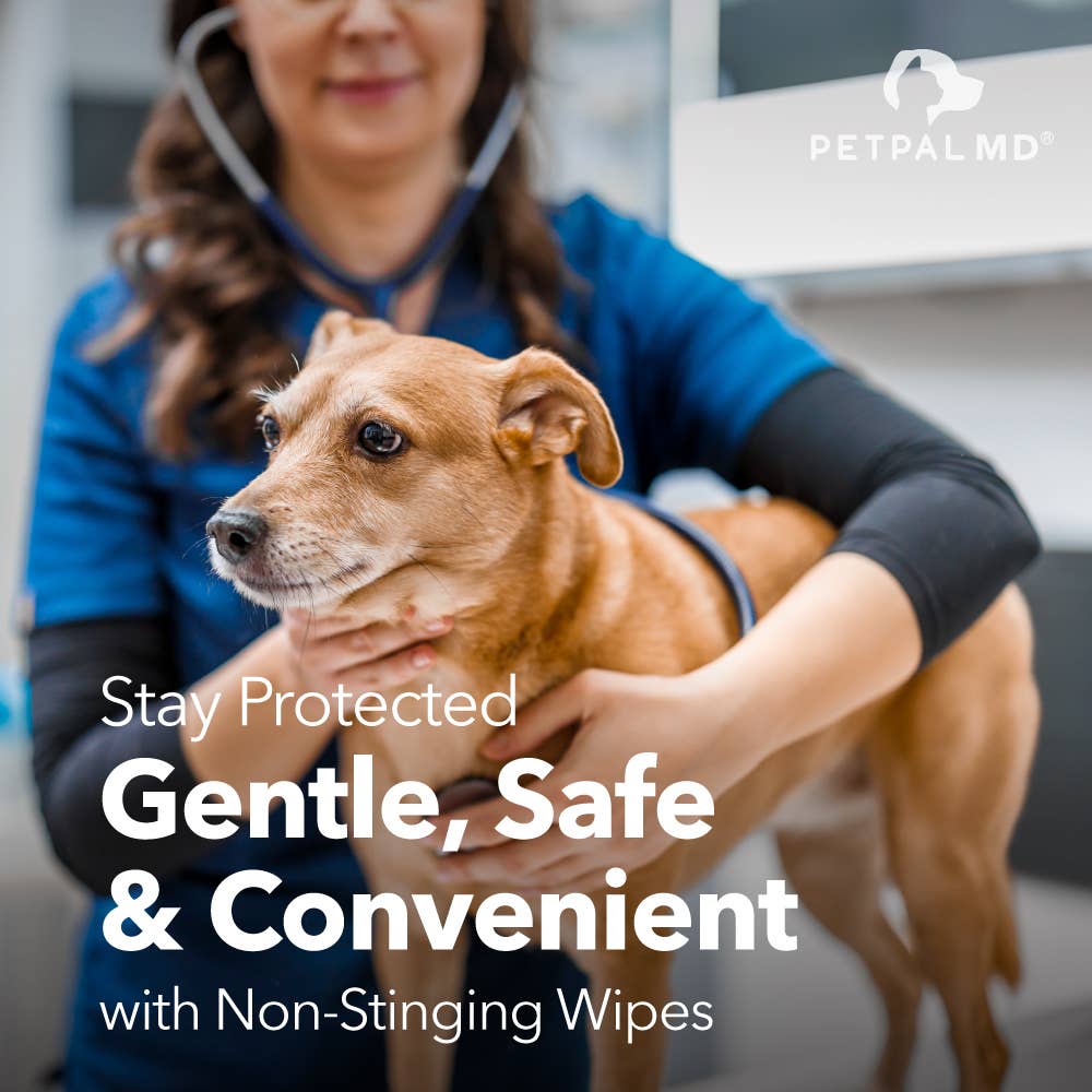 Petpal – wholesale Pet cleaning supplies – Pet&PalMD Chlorhexidine Pet Pads - 30Pads6