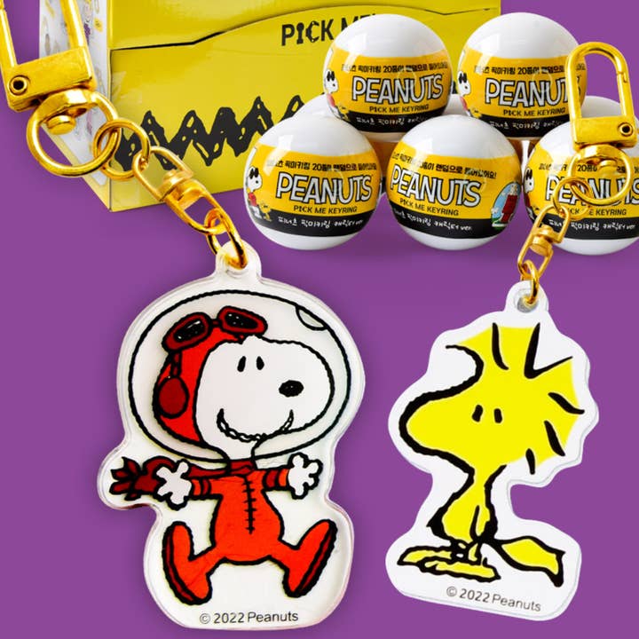 K_Wonderland - Vendita all'ingrosso Portachiavi - Unisex - Portachiavi Random Peanuts Snoopy & Friends, ciondolo da borsa