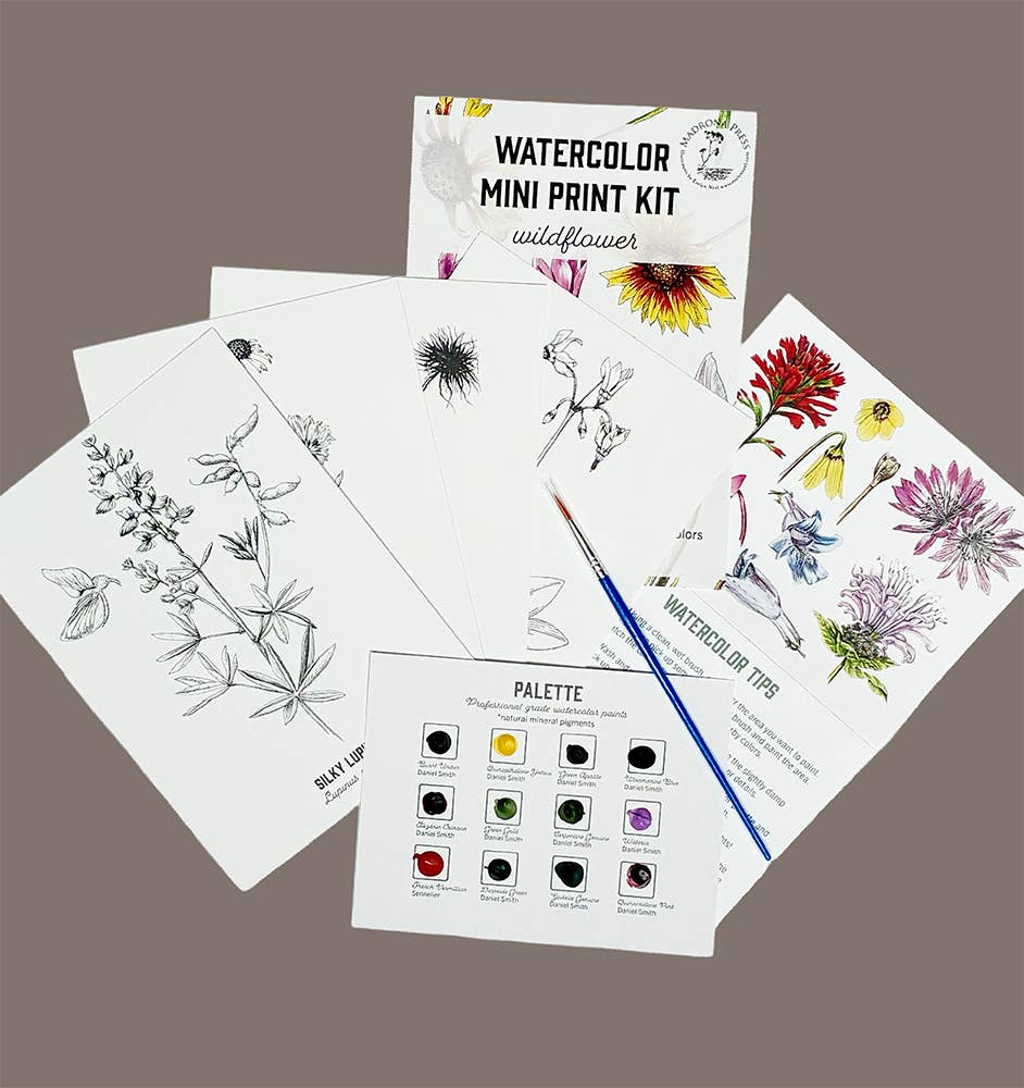 Madrona Press - Wholesale DIY Craft Kit - Watercolor Mini Print Kit - Wildflowers4