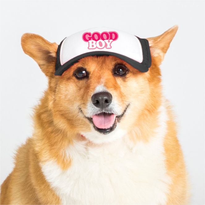PupLid - Wholesale Pet Hat - Dog - Good Boy | Trucker Hat for Dogs10