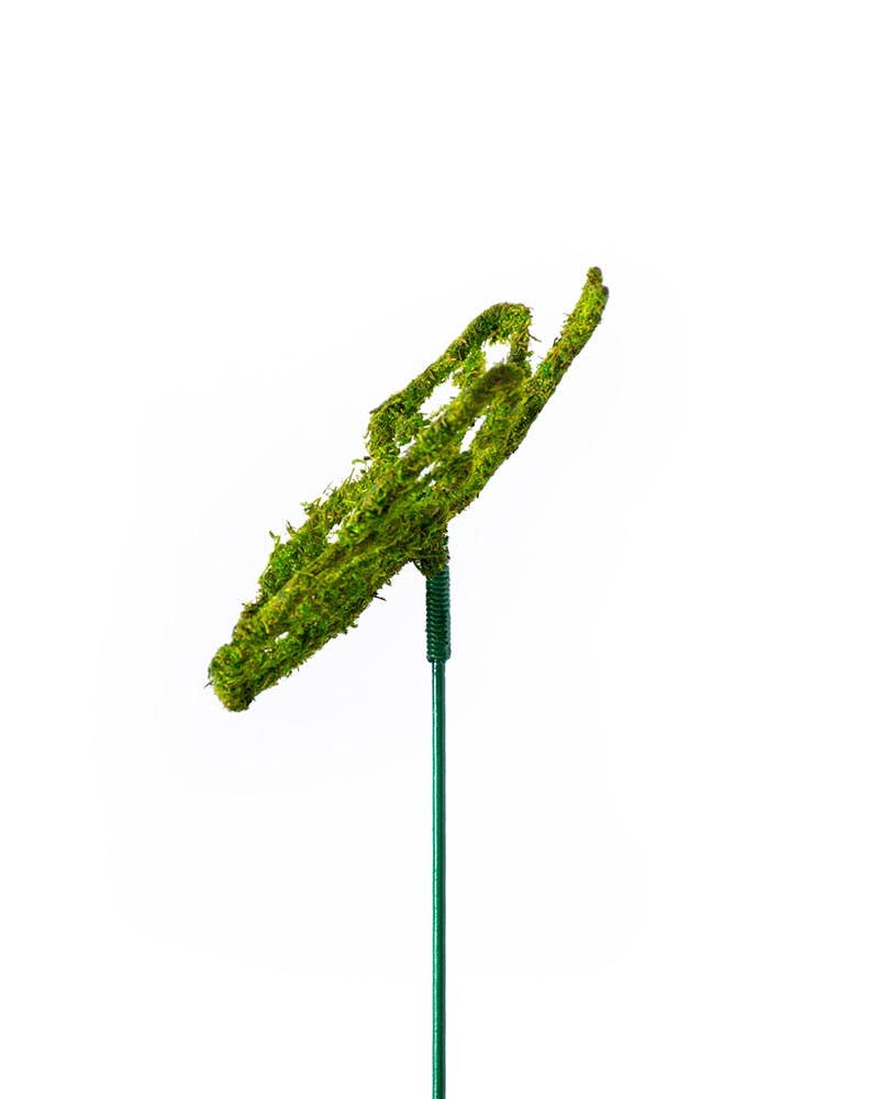 SuperMoss - Vente Piquets de jardin/pelouse - Monarch Moss Pick4