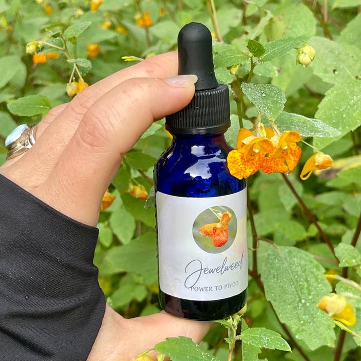 Orange Jewelweed Flower Essence voor wholesale door Stenella Farms