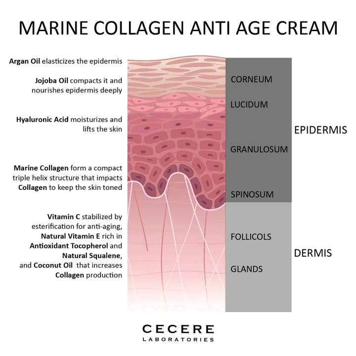 Cecere Monaco (Cecere Laboratories - Cecere Group)) - Vendita all'ingrosso Creme idratanti antietà - Crema al collagene marino Acido ialuronico Olio di Argan Vitamina C