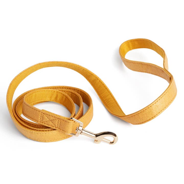 THE PINYA COLLECTION - LEASHES for wholesale by The Crazy Puppy Company