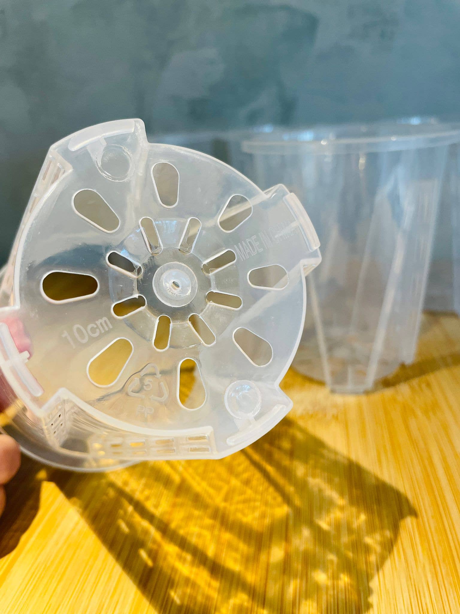 Coco and Palm Trees - Wholesale Plant Pot - Clear Nursery Pot 4"3