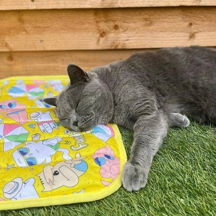 WufWuf - Wholesale Pet Mat - Dog - MyMeow Funshine Cool Cat Mat, Cooling Pet Mat, 48cm x 60cm