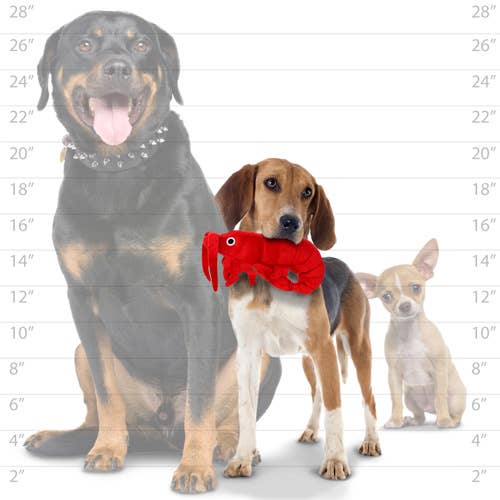 Tuffy Dog Toys - VIP Products - Wholesale Pet Squeaky Toy - Dog - Mighty Jr Ocean Prawn, Plush, Squeaky Dog Toy4