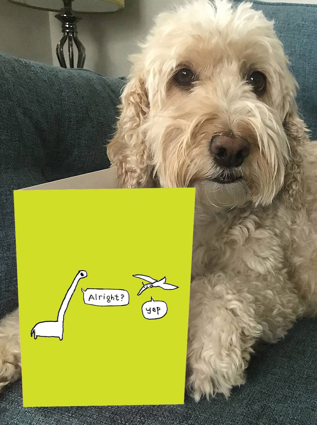 Brainbox Candy - Wholesale Birthday Card - Funny Birthday Card - Embossed Alright? Yep! Greetings Card3