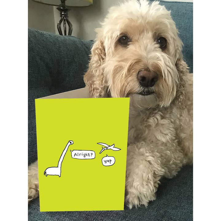 Brainbox Candy - Wholesale Birthday Card - Funny Birthday Card - Embossed Alright? Yep! Greetings Card3