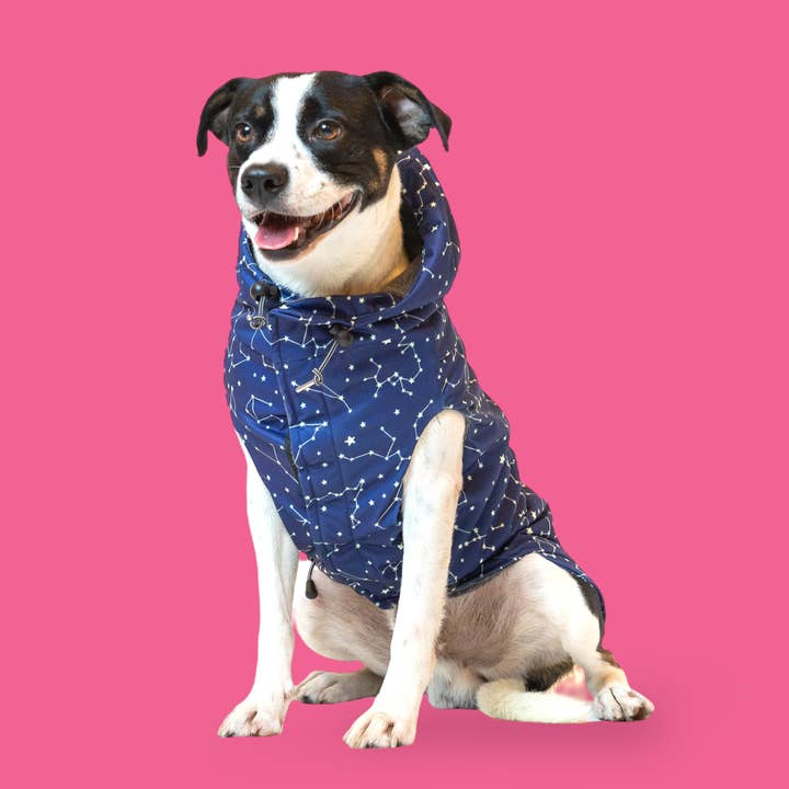 The Zodiac - Imperméable pour la vente par The Long Dog Clothing Co.