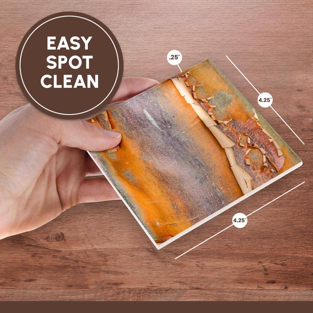 3dRose - Wholesale Coasters - 3dRose, USA, Washington State. Bellevue Botanical garden and tree bark, Coaster6