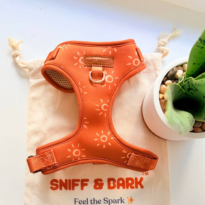 Ambar Suns AllSet™ Harness – Adjustable Bliss (D Ring) for wholesale by Sniff & Bark