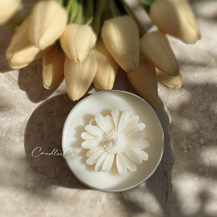 CandlesCo Australia - Wholesale Travel candles - Scented Daisy