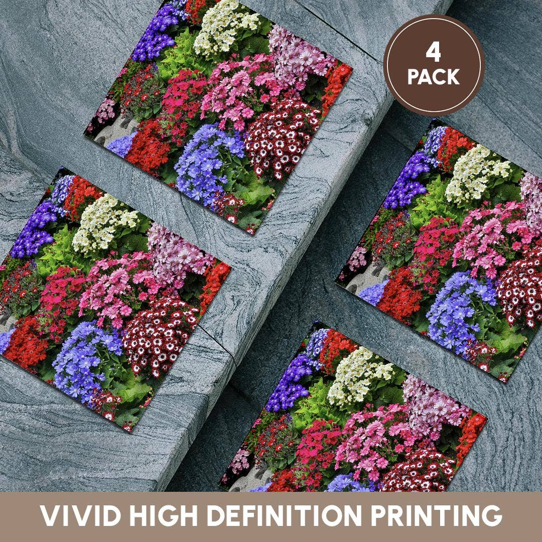 3dRose - Wholesale Coasters - 3dRose, Springtime gardens, Victoria, BC, Canada. Cinerarias in bloom, Coaster5