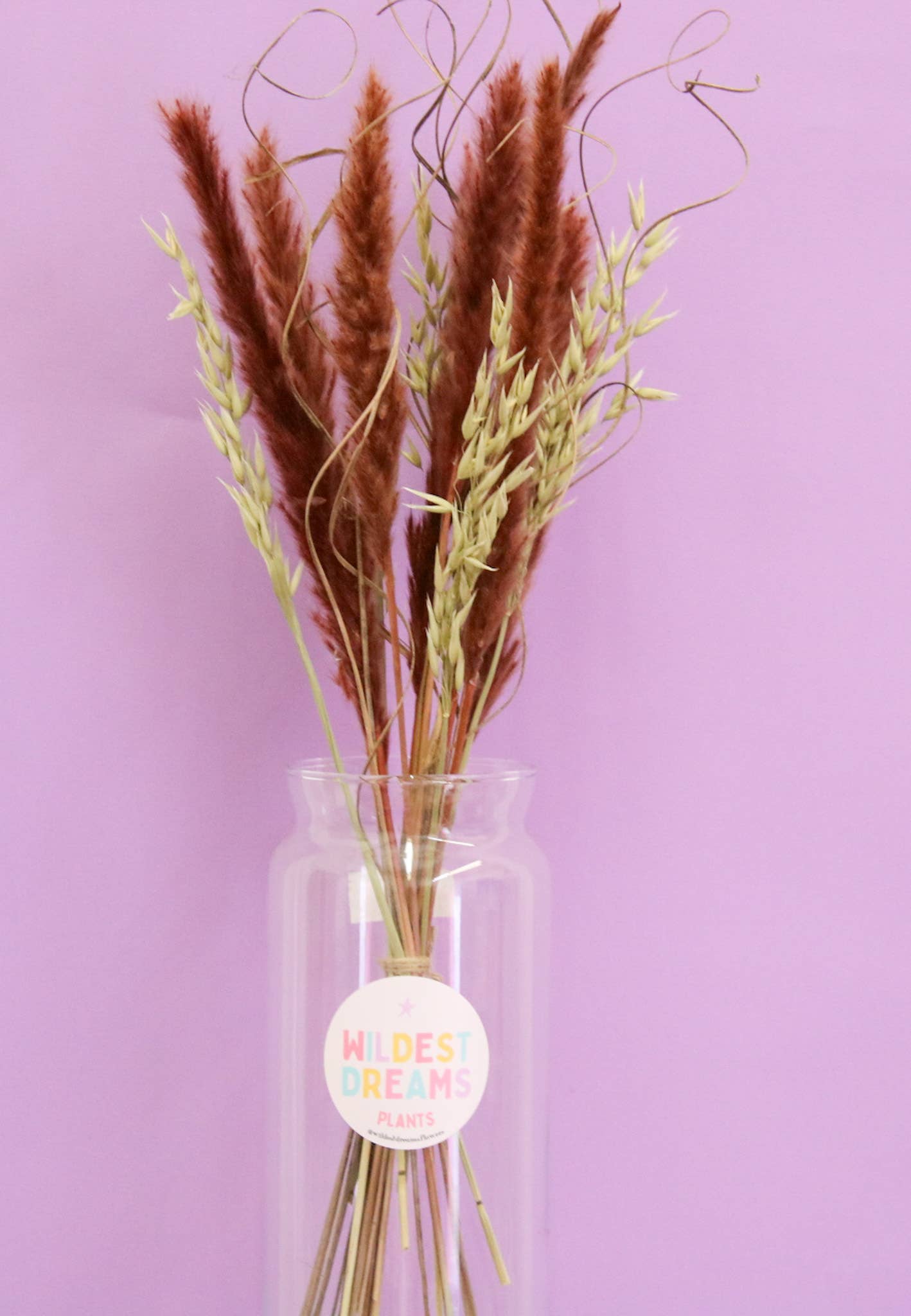 Wildestdreams.flowers - Wholesale Dried/pressed flowers - Brown Pampas Grass Bouquet with Oats – Neutral Dried Flower