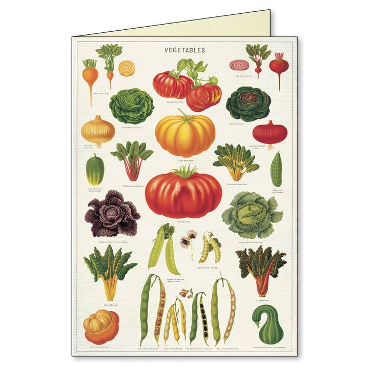 Bobangles - Wholesale Stationery/Notecard Set - Cavallini Boxed Notecards - Jardin5