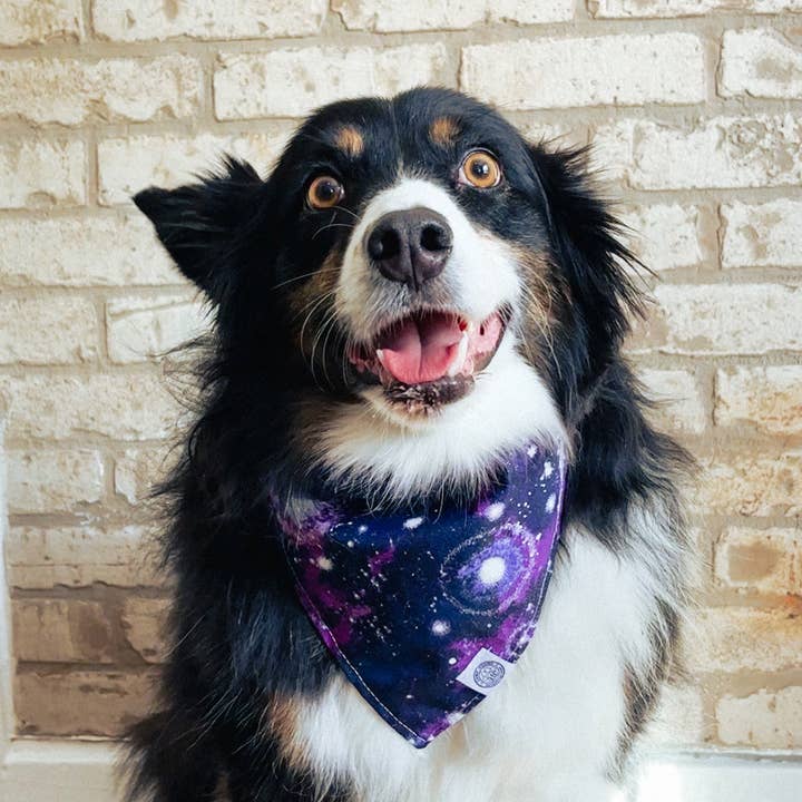 Purple Nova Dog Bandana | Galaxy Supernova Space Pet Accessory for wholesale on Faire