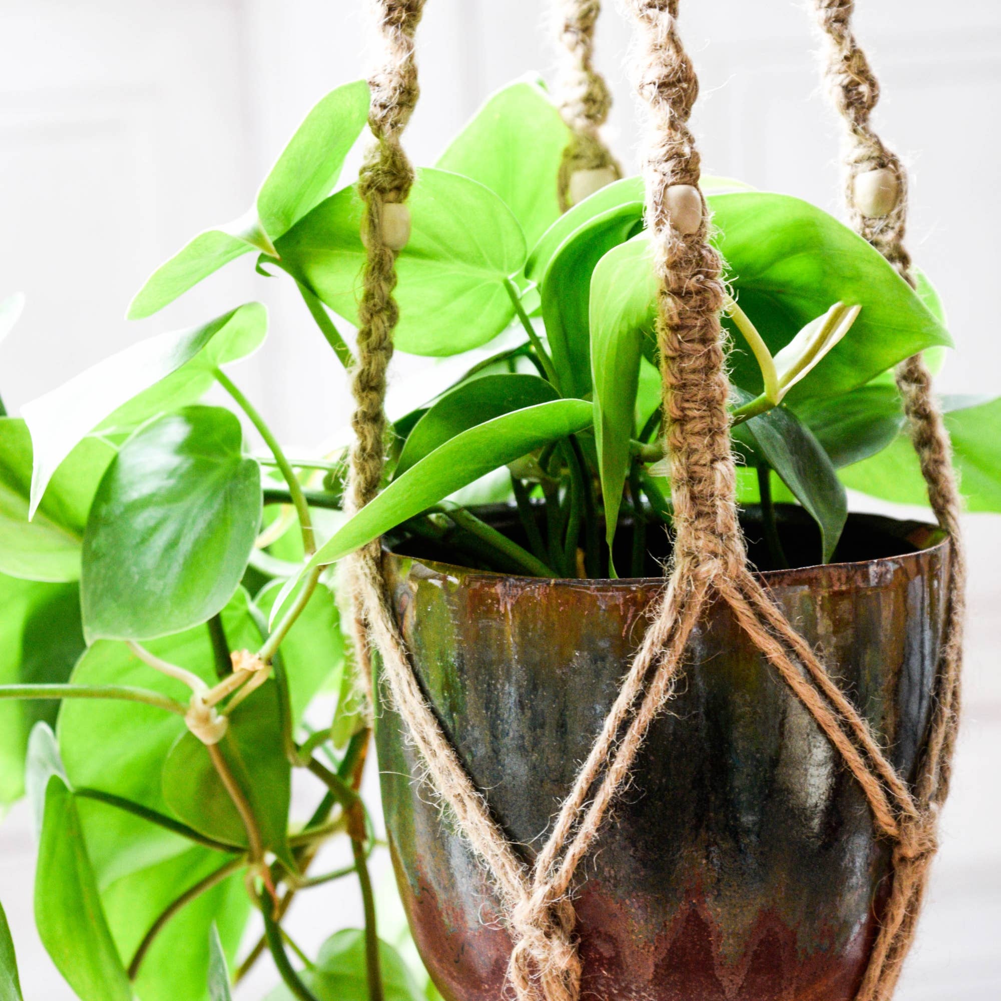 Macrame Plant Hanger Ivory with Beads for wholesale on Faire0