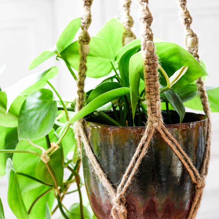 Macrame Plant Hanger Ivory with Beads for wholesale on Faire