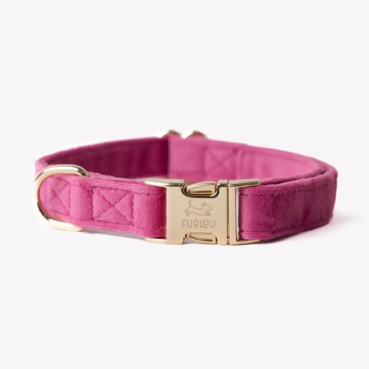 'Magenta' - Velvet Dog Collar for wholesale by Furlou