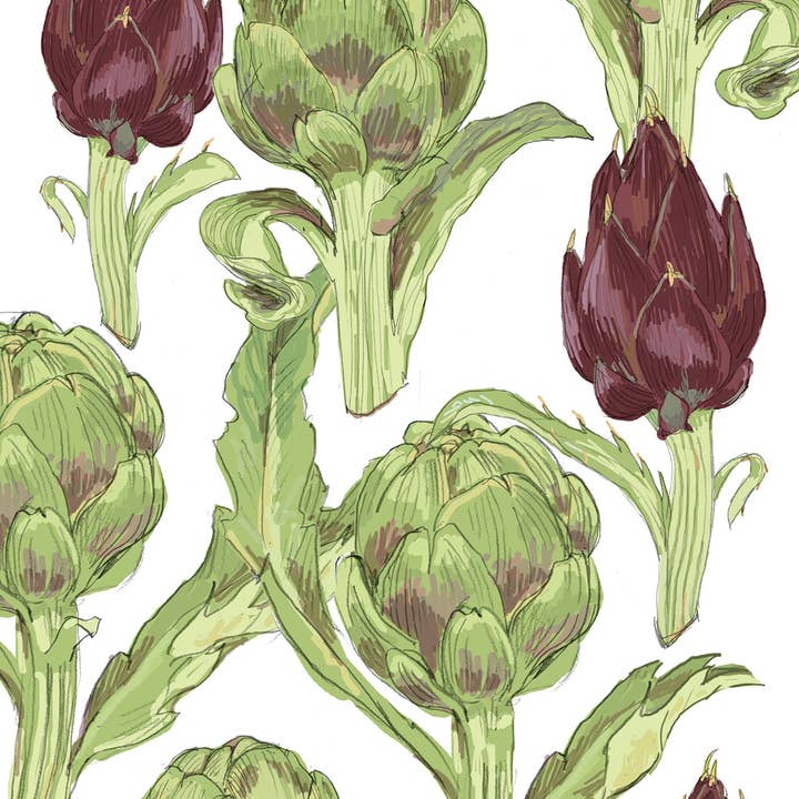 RFM-502 Artischocken Kunstdruck für den Großhandel von Rigel Paper