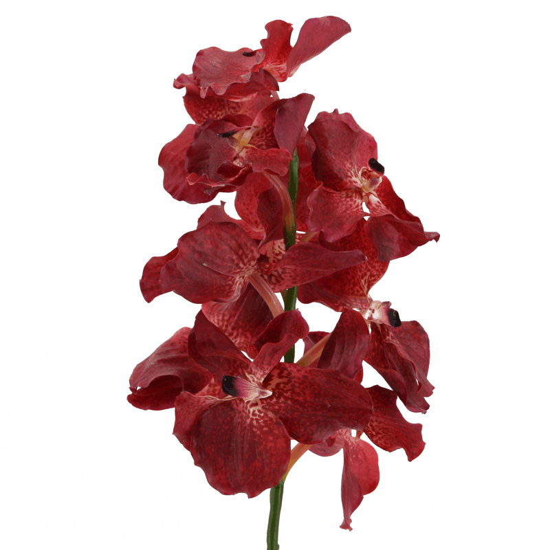 Floratexx - Wholesale Artificial Flowers - Vanda orchid 72 cm beauty0