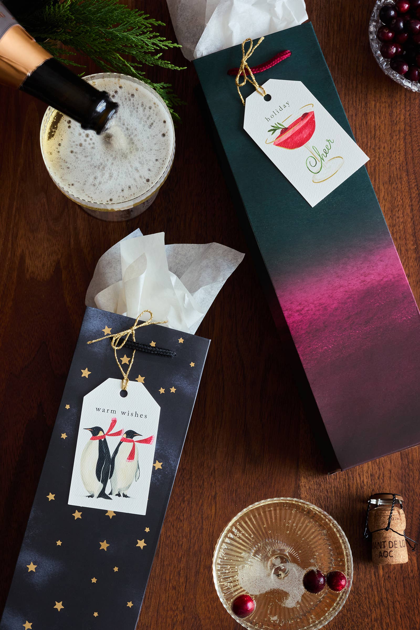 Abigail Jayne Design - Wholesale Gift Bag - Ombré Holiday Gift Bags 3