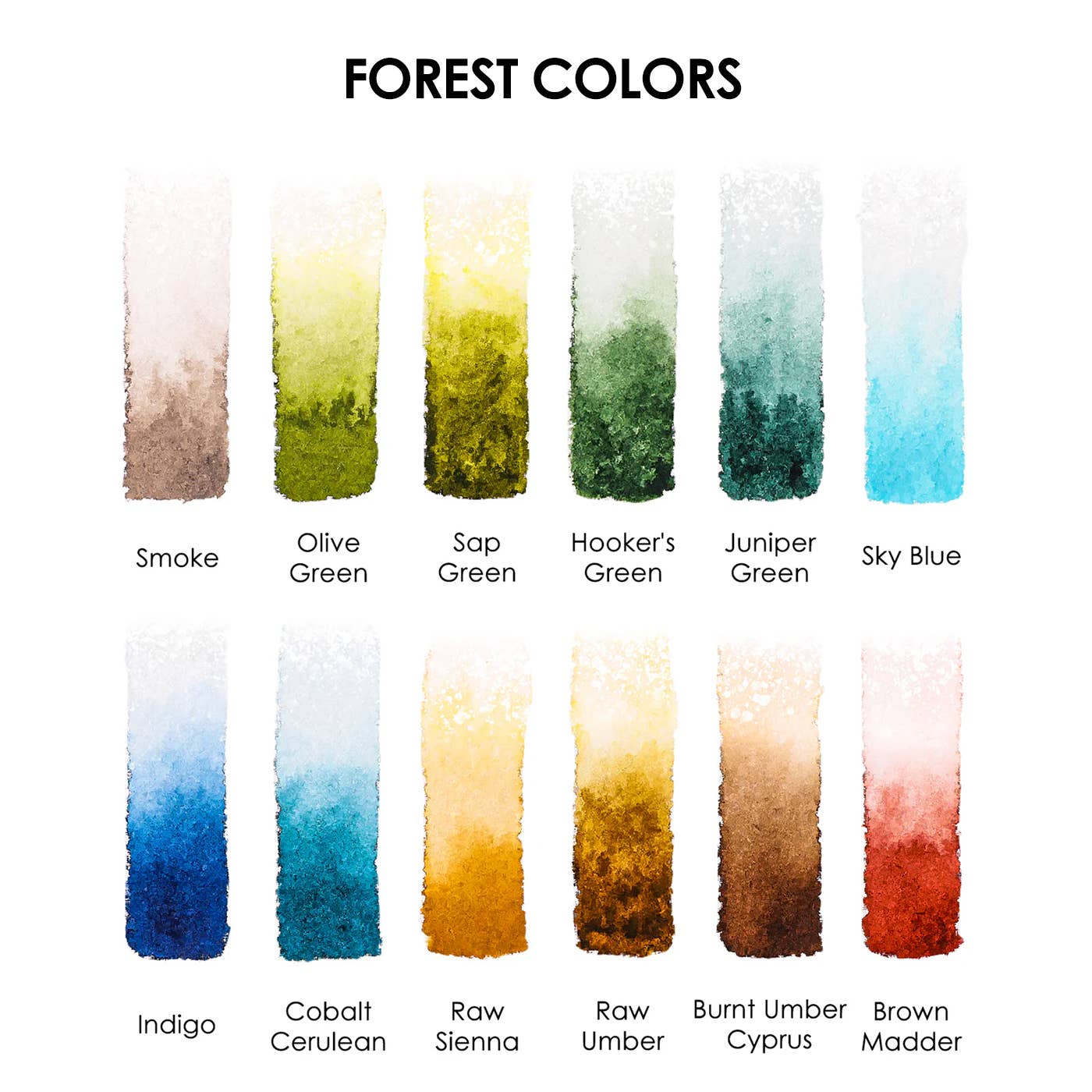 Grabie - Wholesale Watercolor Paint - Watercolor Pocket Set of 12 - Forest Colors5