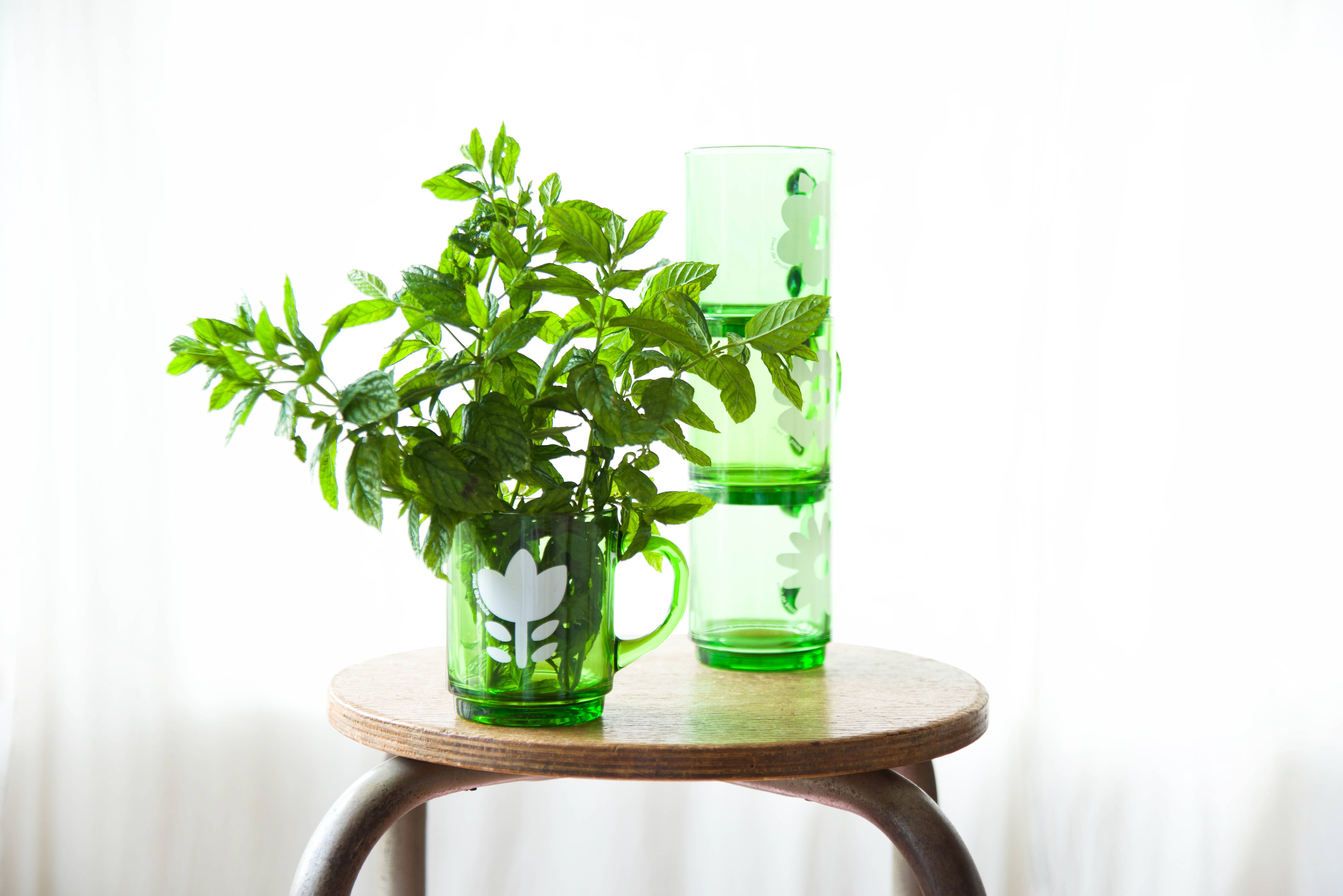 Pied De Poule - Venta al por mayor Taza - Taza Duralex “RETRO” verde1