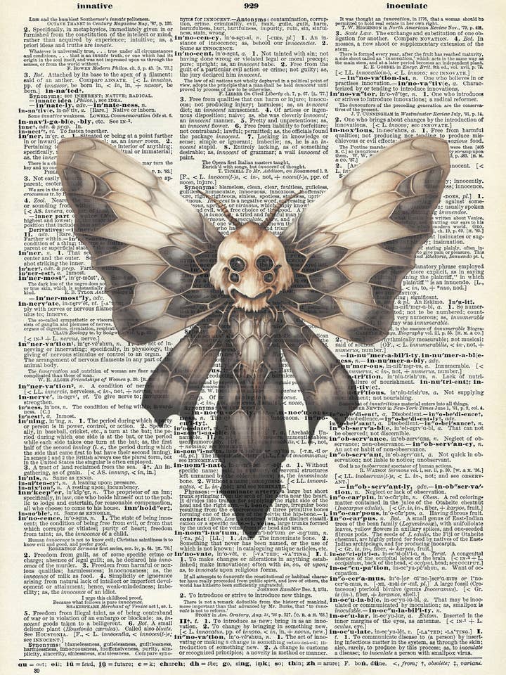 Impresiones de diccionarios vintage sobre polillas, oscuridad, naturaleza, Halloween para venta al por mayor de Crazilyhumbledesigns