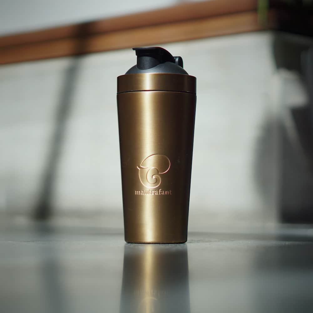 mantrafant – Großhandel Mixer – mantrafant Guru Blender PRO3