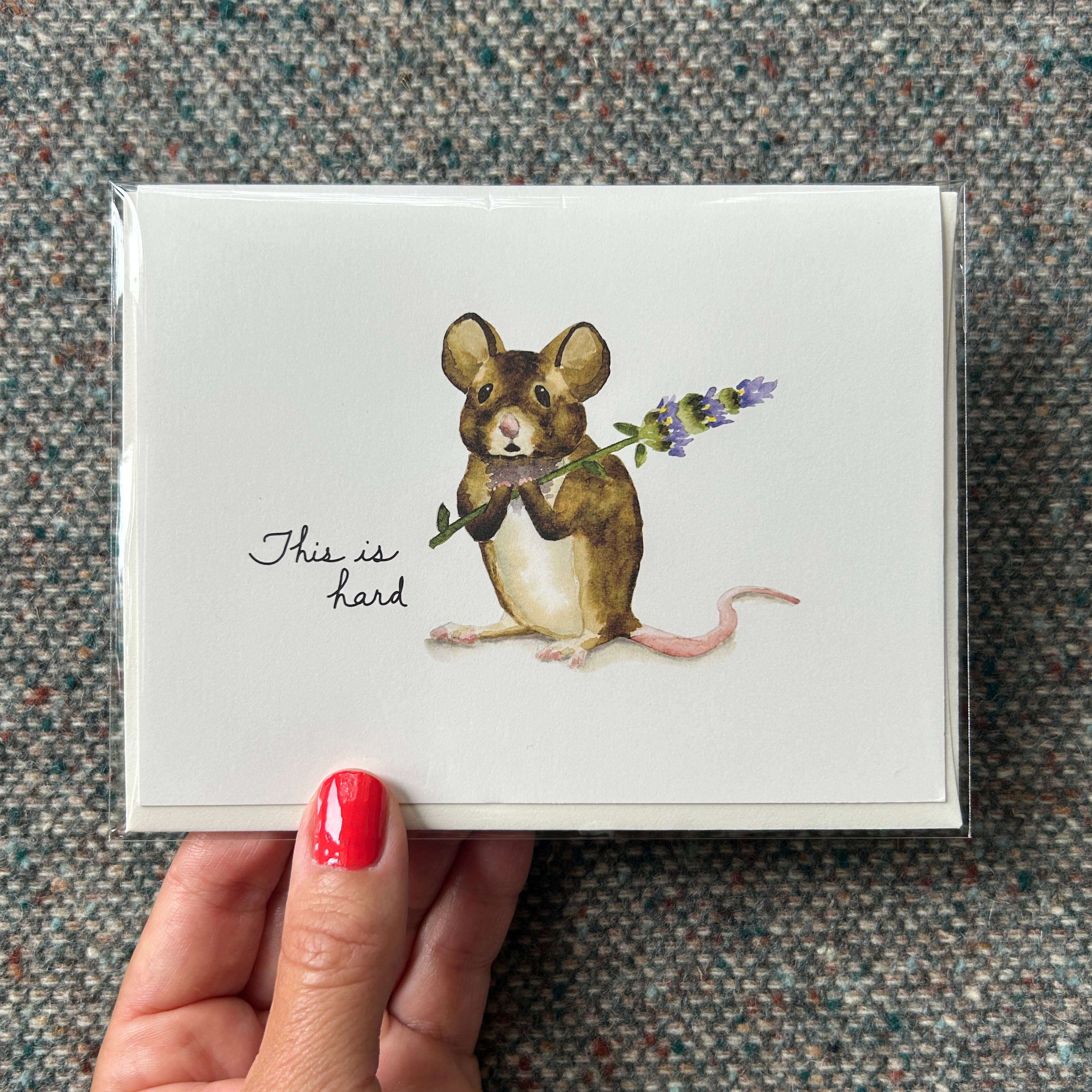 Fresh Fish - Wholesale Sympathy Card - John Dory Greeting Card - Field Mouse and Lavender- Sympathy0