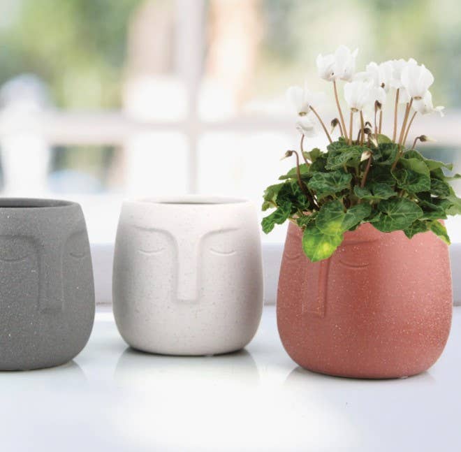 Galore Home – Vaso de plantas por atacado – Top de 5,5 “| Plantador de rosto de cerâmica adormecido3