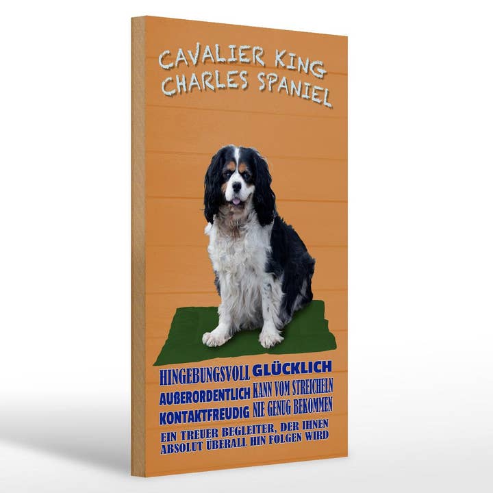 Cavalier King Charles Spaniel Spaniel Sinal Deco 20x30cm Sinal de madeira por atacado de Femer