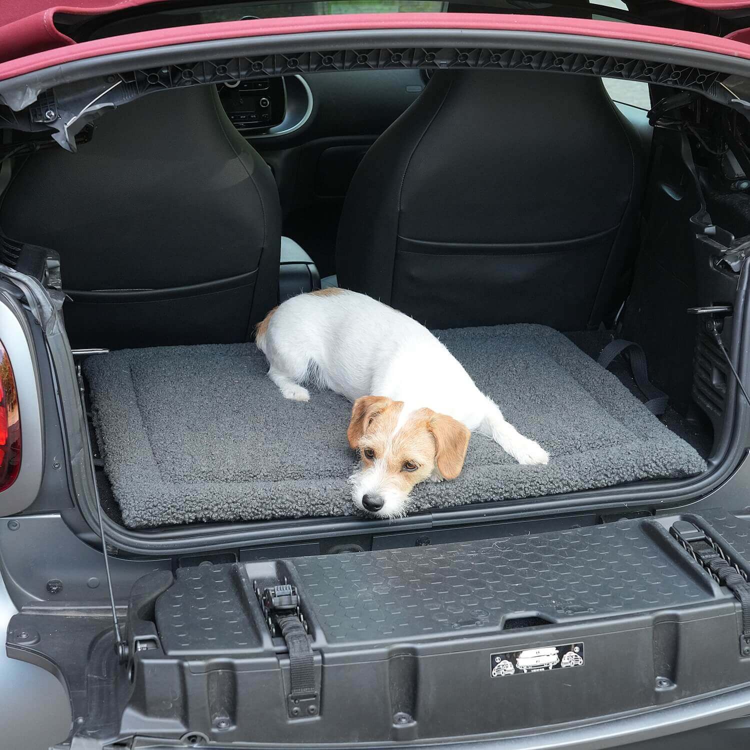 DOGS in the CITY® - Vente Tapis – chien - Tapis de voyage Matti souris3