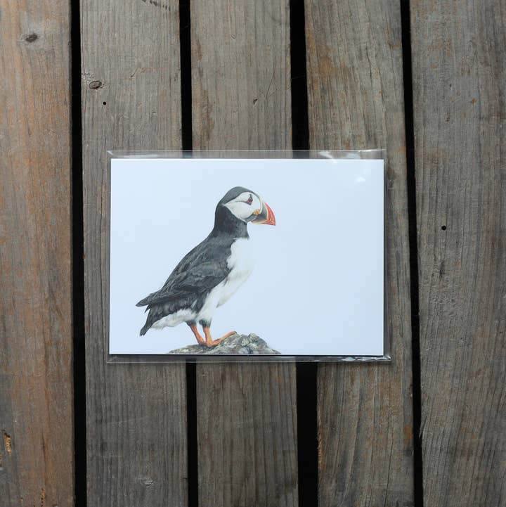 stück in the studio - Wholesale Art Print - puffin - print0
