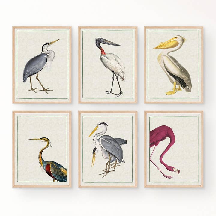 Impressions d'oiseaux magnifiques anciennes aux couleurs vives - Décoration murale pour la vente par Magnifique Hearts