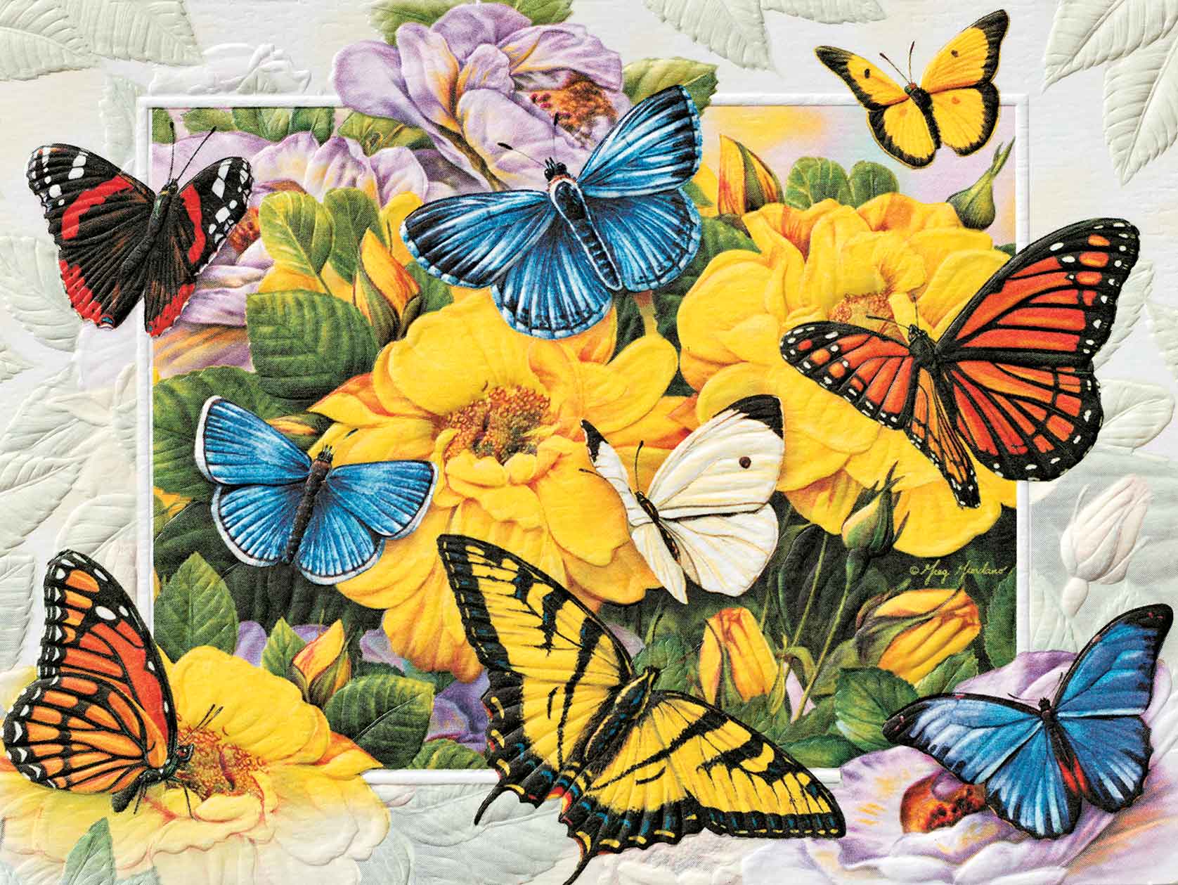 Pumpernickel Press - Wholesale Birthday Card - Butterfly Menagerie - Petite0
