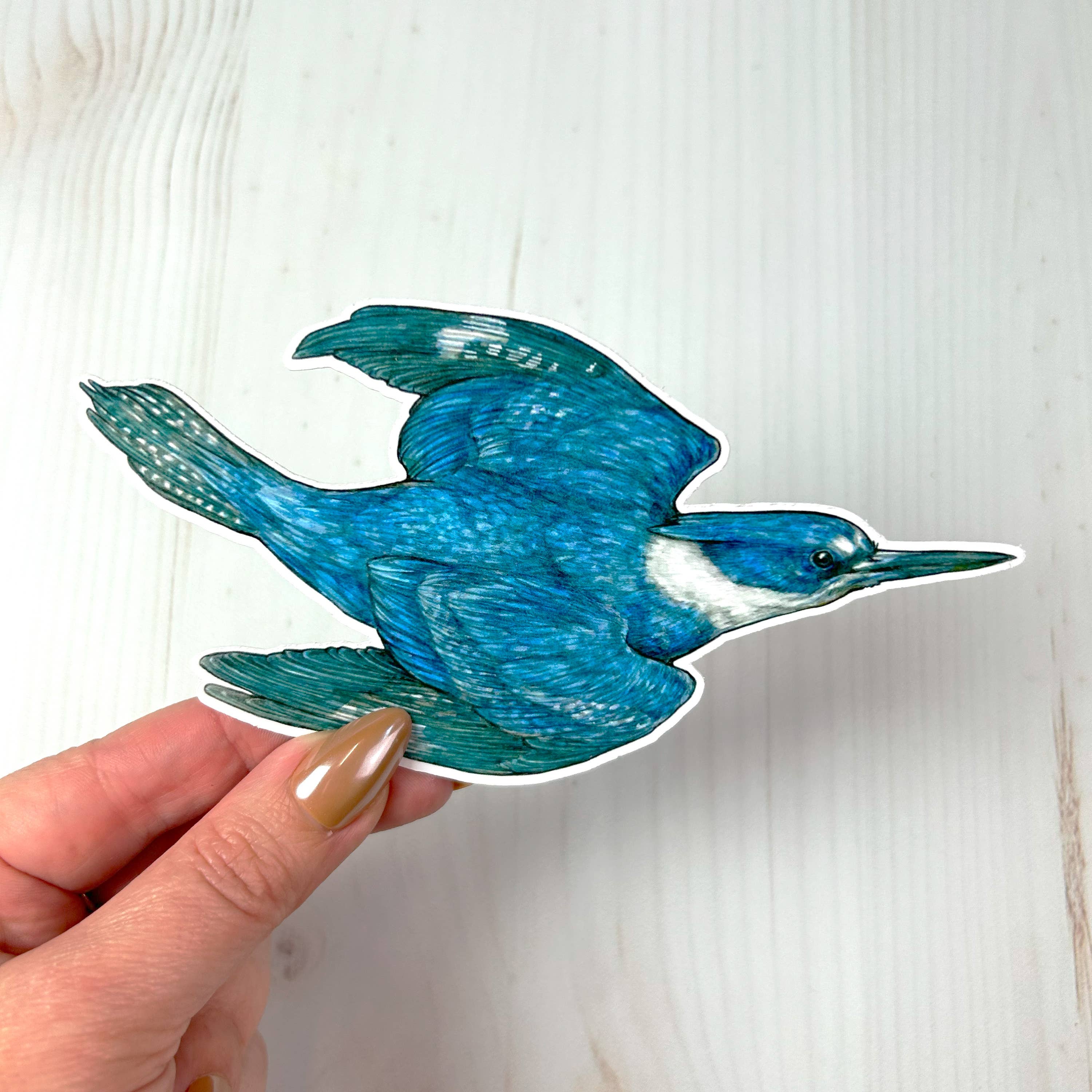 Sarah Draws Things - Wholesale Sticker - Diving Kingfisher Matte Vinyl Sticker 2