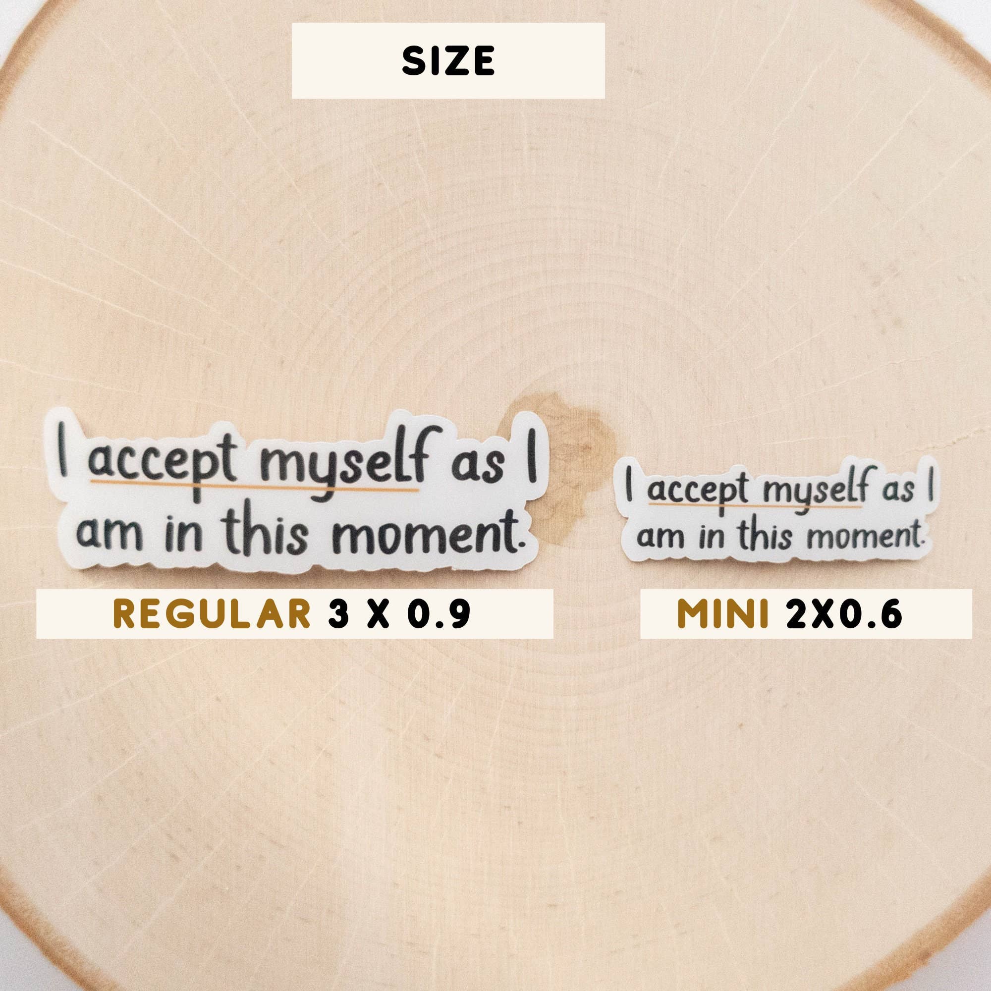 Syera Love & Co. - Wholesale Sticker - I Accept Myself Positive Affirmation Vinyl Stickers2