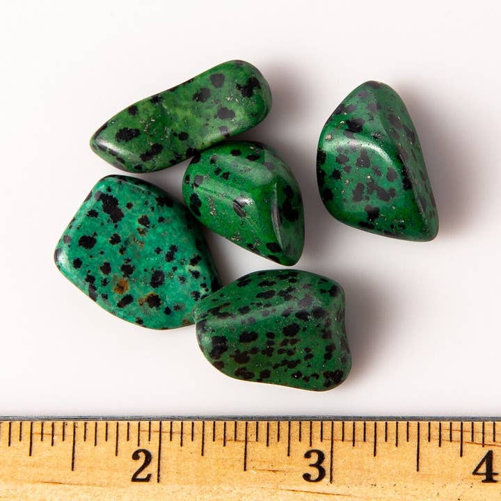Tree of Life Gems – Engroshandel Spirituelle sten og krystaller – Medium tumlet grøn dalmatiner jaspis