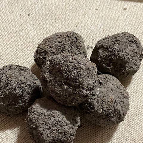 Aussie Seed Bombs - Wholesale Plant Seeds - Australian Native Wildflowers Mix 6pc