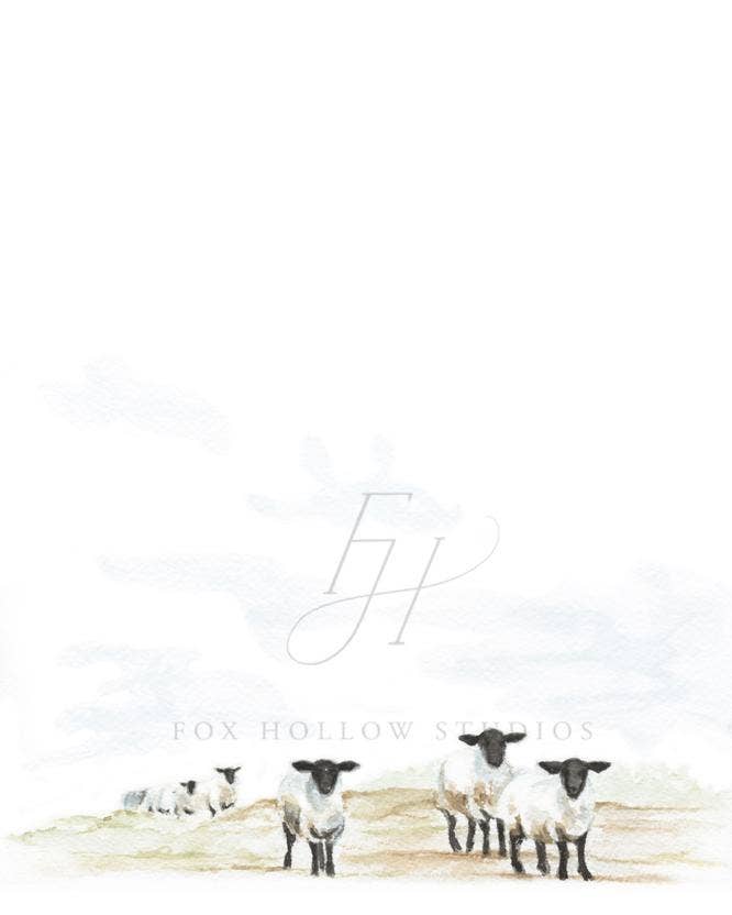 Tabitha Paige - Wholesale Art Print - Sheep Art Print2